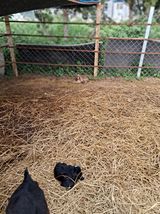 팜모닝 자유주제·자유게시판 게시글 이미지