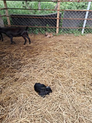 김석현님의 자유주제 · 자유게시판 작성글 사진