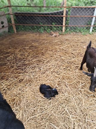 김석현님의 자유주제 · 자유게시판 작성글 사진