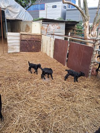 김석현님의 자유주제 · 자유게시판 작성글 사진