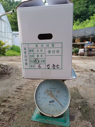 879412님의 오이 · 자유게시판 작성글 사진