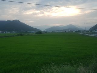 수기님의 우리동네 · 동네정보 작성글 사진