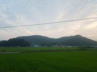 수기님의 우리동네 · 동네정보 작성글 사진