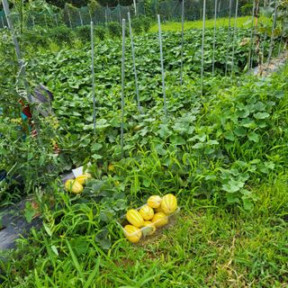 동호동 윤상임님의 자유주제 · 자유게시판 작성글 사진