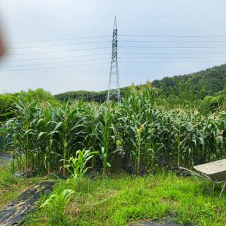 동호동 윤상임님의 자유주제 · 자유게시판 작성글 사진