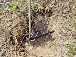 벤틀리 님의 호박 · 병해충상담 작성글 사진