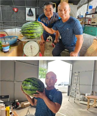 그린톡톡 오계상님의 기타작물 · 자유게시판 작성글 사진