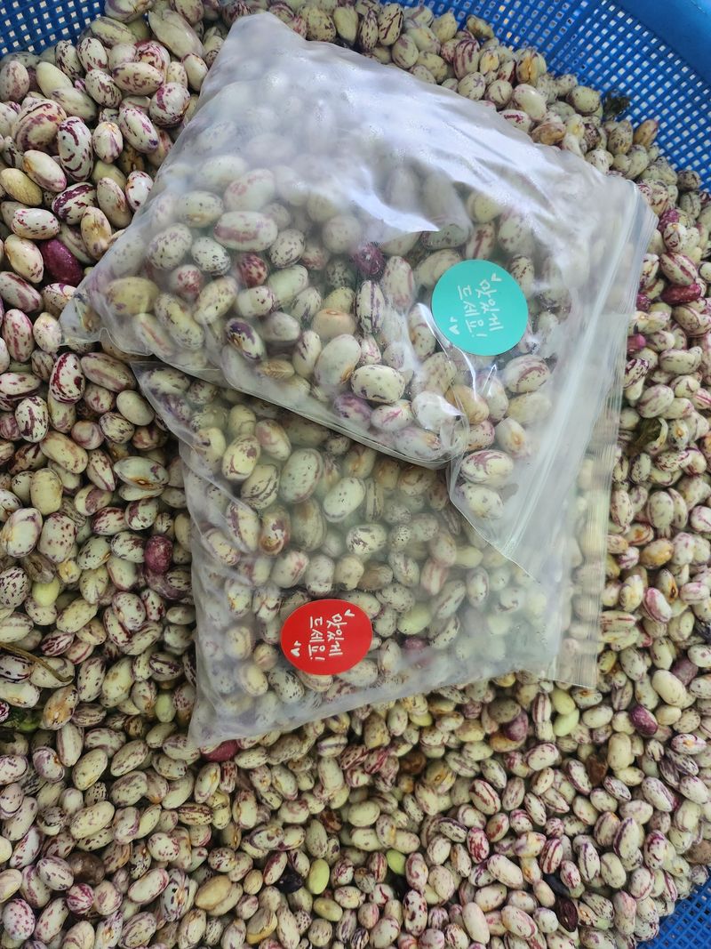 최정해님의 장터 판매 상품 [호랑이콩] 첨부 사진