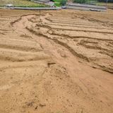 팜모닝 콩·자유게시판 게시글 이미지