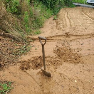 학두원님의 콩 · 자유게시판 작성글 사진