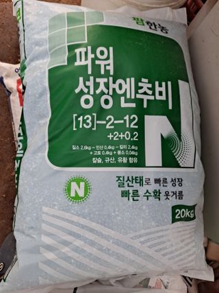 무지개블루베리농장 님의 옥수수 · 자유게시판 작성글 사진