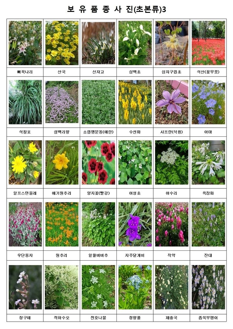 장터 상품 [자생. 약용식물 모종 판매] 썸네일