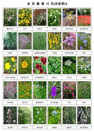 약초원 김종군님의 작성글 사진