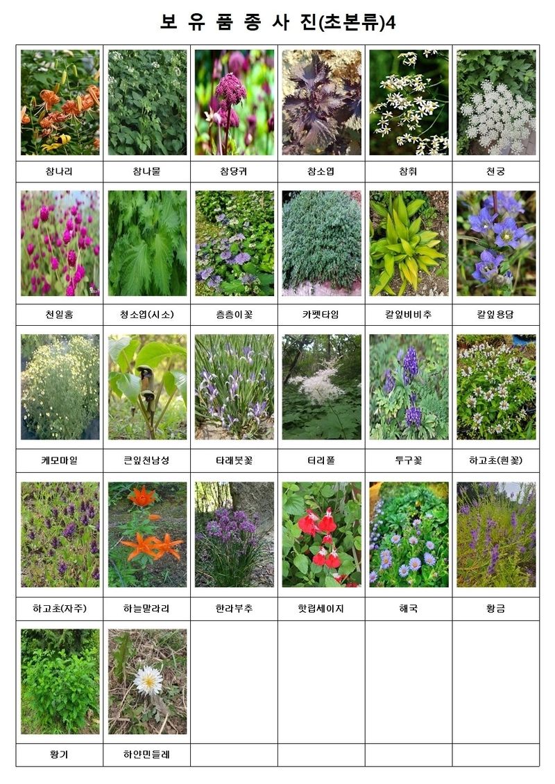 약초원 김종군님의 장터 판매 상품 [자생. 약용식물 모종 판매] 첨부 사진