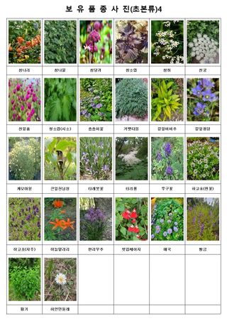 약초원 김종군님의 작성글 사진