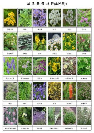 약초원 김종군님의 작성글 사진