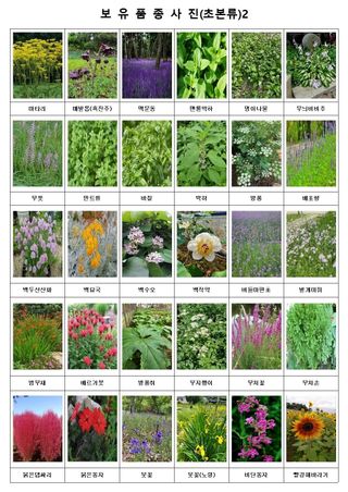 약초원 김종군님의 작성글 사진