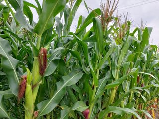 문보라님의 작성글 사진