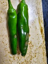 팜모닝 고추·병해충상담 게시글 이미지