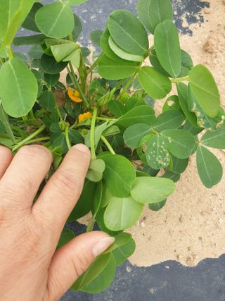 김은아SM님의 기타작물 · 자유게시판 작성글 사진