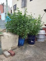 팜모닝 자유주제·자유게시판 게시글 이미지