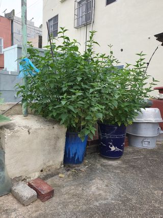 주*희님의 자유주제 · 자유게시판 작성글 사진