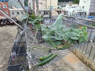 주*희님의 자유주제 · 자유게시판 작성글 사진