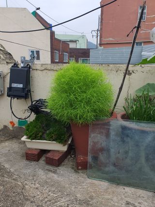 주*희님의 자유주제 · 자유게시판 작성글 사진