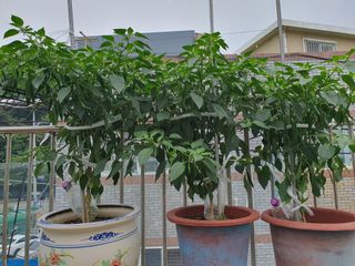 주*희님의 자유주제 · 자유게시판 작성글 사진