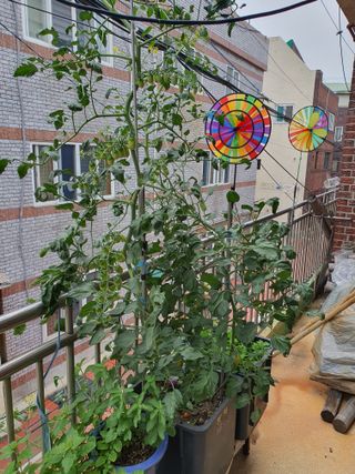 주*희님의 자유주제 · 자유게시판 작성글 사진