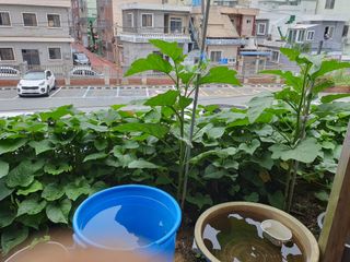 주*희님의 자유주제 · 자유게시판 작성글 사진