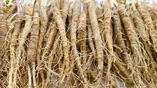 조병대님의 기타작물 · 영농일지 작성글 사진