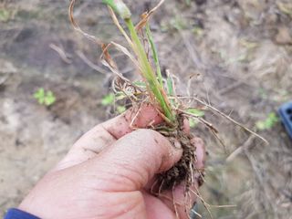 박귀님의 참깨 · 자유게시판 작성글 사진