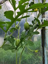 팜모닝 자유주제·자유게시판 게시글 이미지