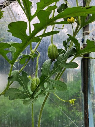 갈마골님의 자유주제 · 자유게시판 작성글 사진