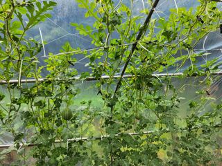 갈마골님의 자유주제 · 자유게시판 작성글 사진