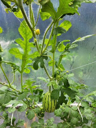 갈마골님의 자유주제 · 자유게시판 작성글 사진
