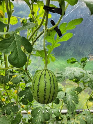 갈마골님의 자유주제 · 자유게시판 작성글 사진