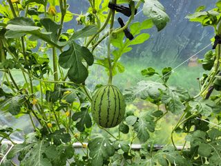 갈마골님의 자유주제 · 자유게시판 작성글 사진