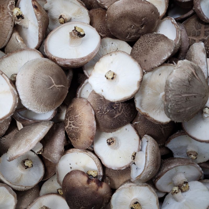 장터 상품 [못난이파지1kg] 썸네일