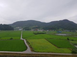 수기님의 우리동네 · 동네자랑 작성글 사진