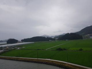 수기님의 우리동네 · 동네자랑 작성글 사진