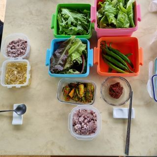 김지연님의 토마토 · 토양준비 작성글 사진