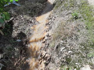 강성민님의 사과 · 영농일지 작성글 사진