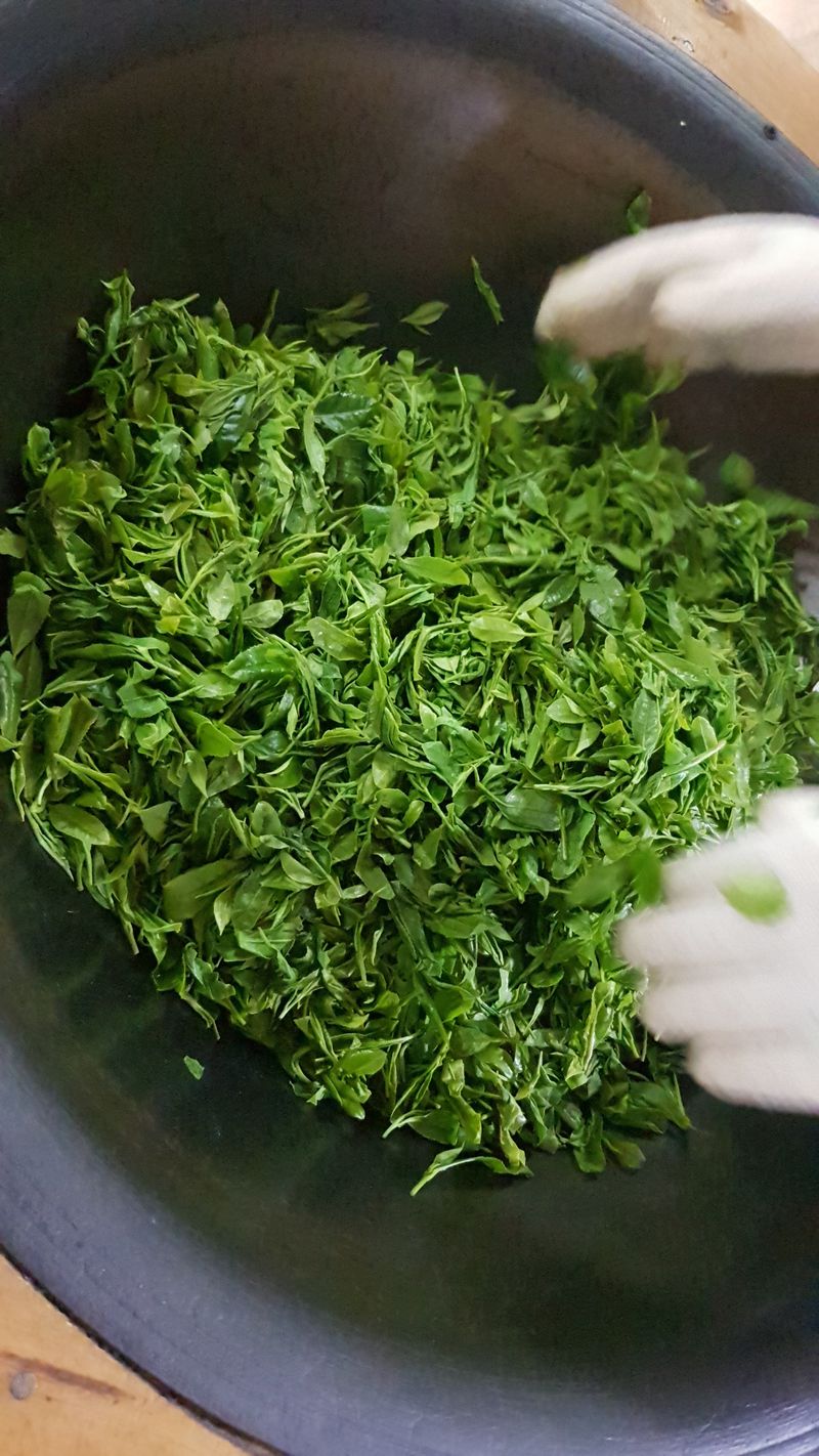 보성녹차 님의 장터 판매 상품 [잎녹차 20g] 첨부 사진