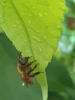 새리님의 자유주제 · 자유게시판 작성글 사진