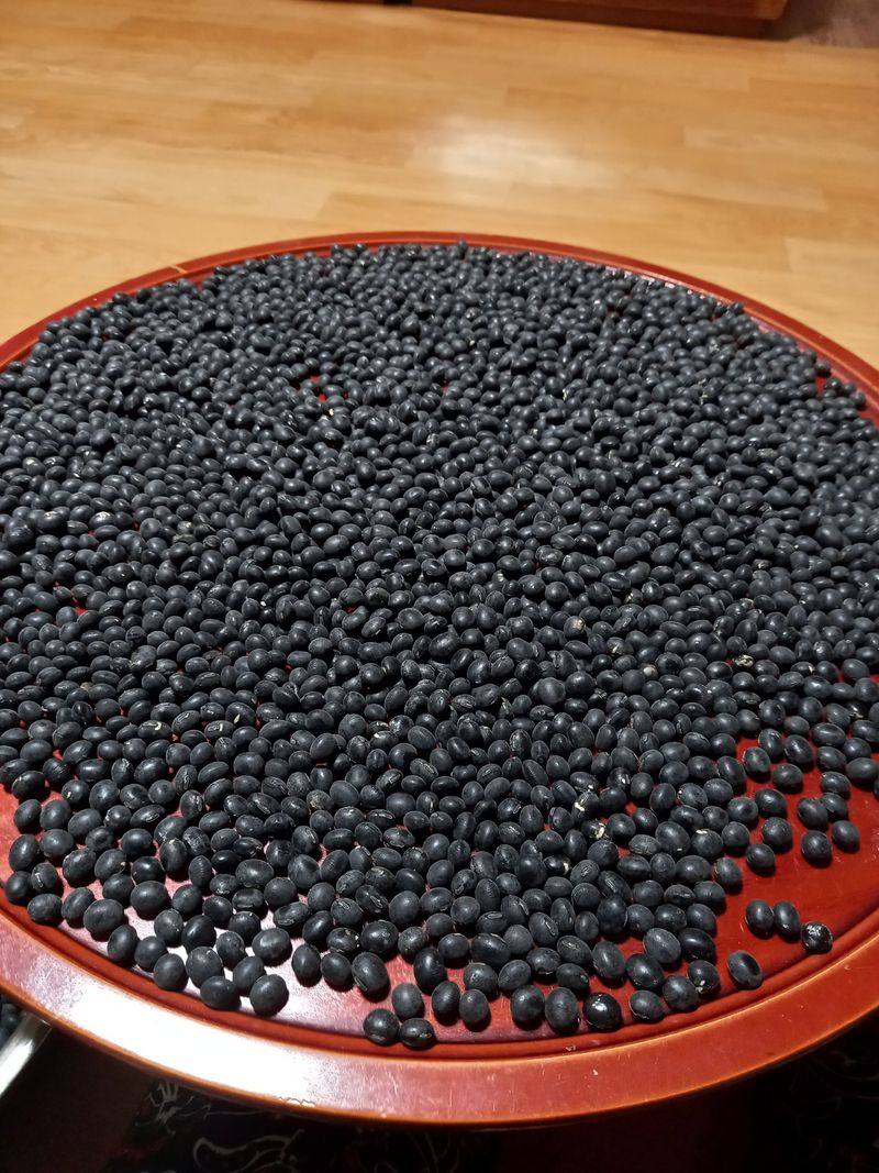 당진수농원박선이님의 장터 판매 상품 [볶음콩가루1키로] 첨부 사진