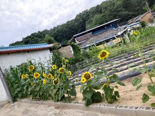 Bank0001님의 자유주제 · 자유게시판 작성글 사진