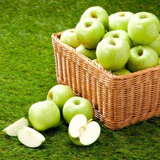 알 수 없음님의 작성글 사진