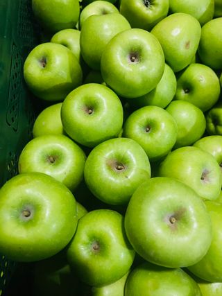 알 수 없음님의 작성글 사진